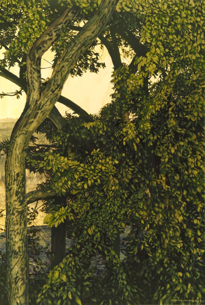 Sean William Randall From the Real Life Ian Tan Gallery