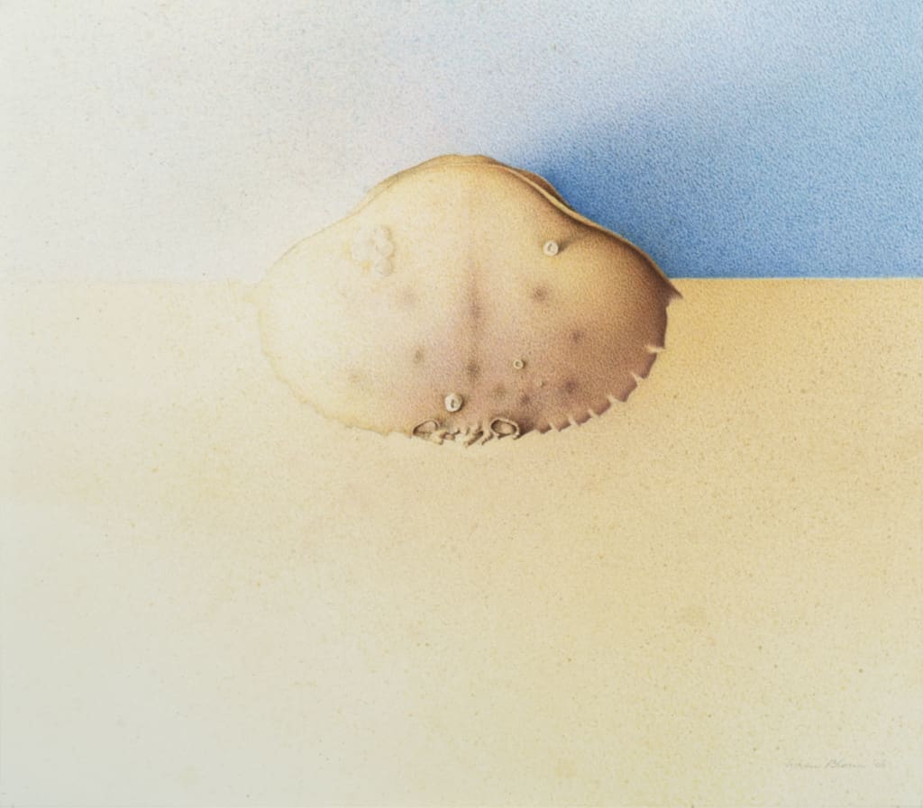 Wim Blom Carapace Ian Tan Gallery