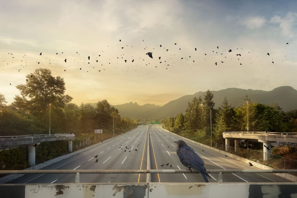 Kevin Lanthier Crow Commute Ian Tan Gallery