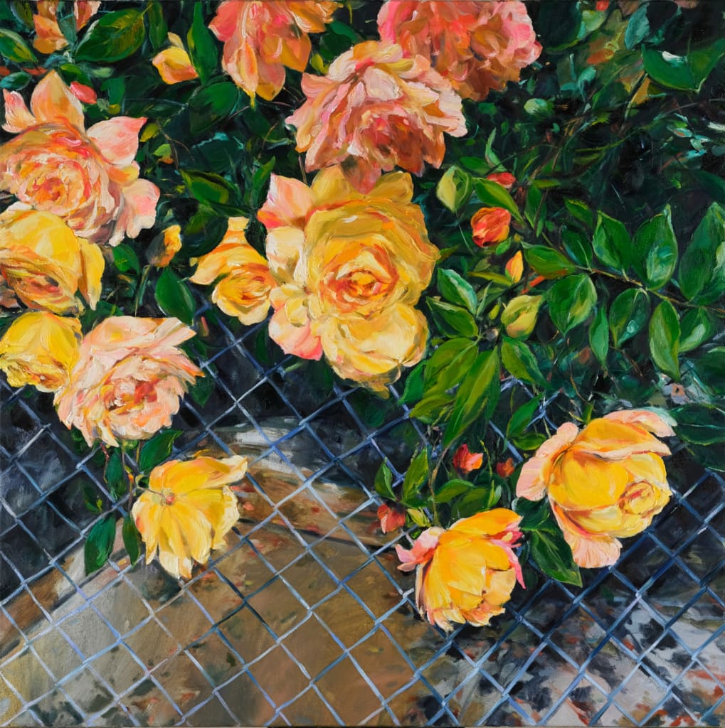 Krista Johnson Illusions Of Certainty Ian Tan Gallery