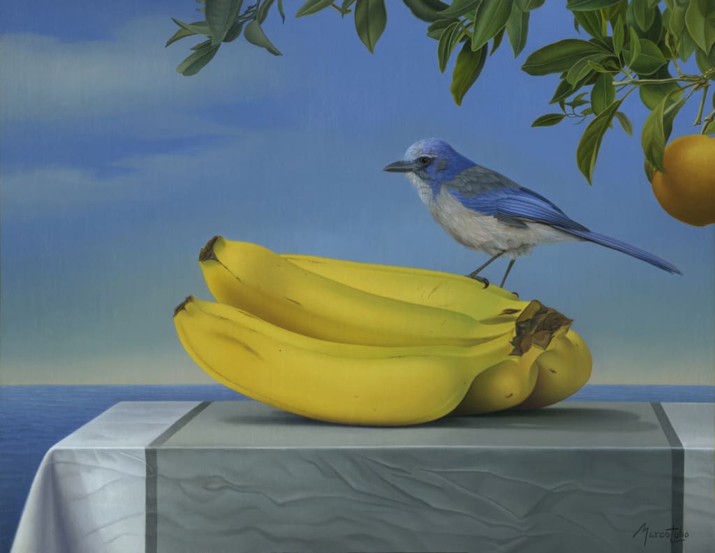 Marco Tulio Jay And Banana Ian Tan Gallery