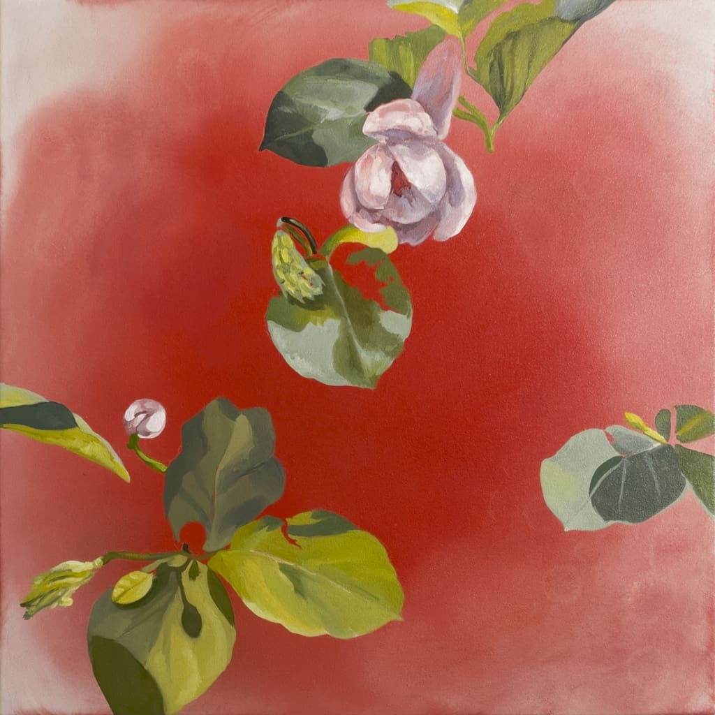 Karen Yurkovich Magnolia Sieboldii 1 Ian Tan Gallery