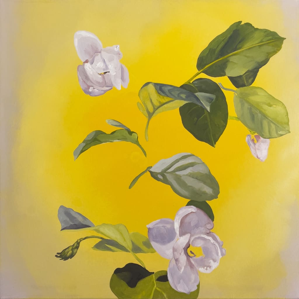 Karen Yurkovich Magnolia Sieboldii 4 Ian Tan Gallery