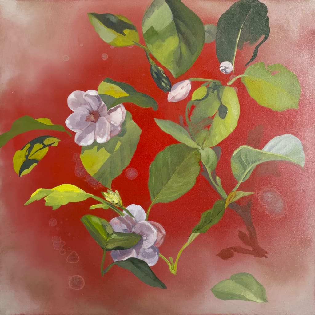 Karen Yurkovich Magnolia Sieboldii Grande Ian Tan Gallery