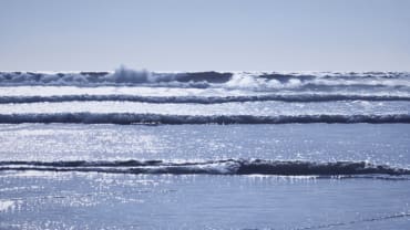 Carol Haigh Shining Sea